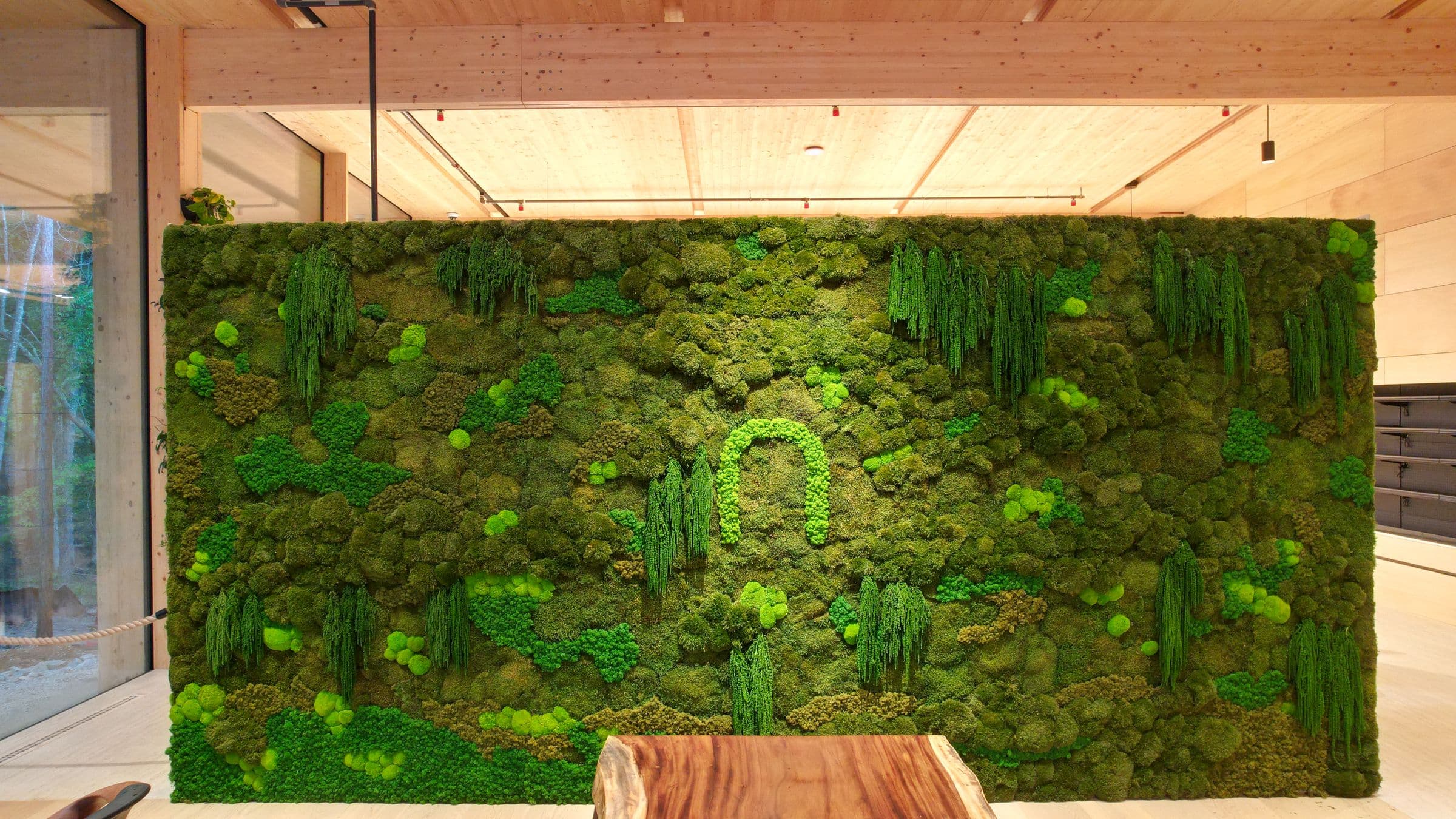 The living moss wall, with the Nutrition Nest mark picked out in bright moss